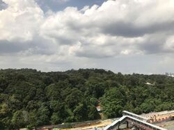 Bukit Timah Shopping Centre (D21), Office #570008781